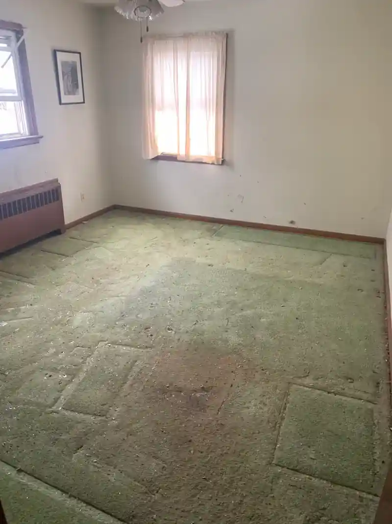 A Hoarding Cleanout Without Judgment: How a Structured Plan Works